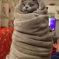 おはようございます😊