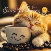 おはようございます