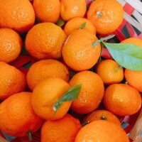 おはようございます