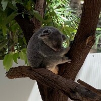 ありがとうございました✨