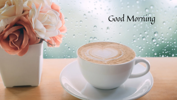 おはようございます