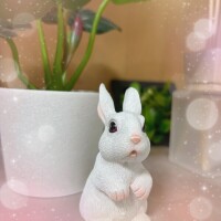 お支度整いました😊