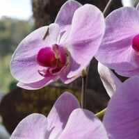 おはようございます🌞