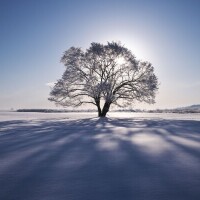 おはようございます☺️