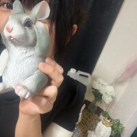 今日は千葉ルームですー🧚‍♂️