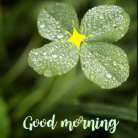 おはようございます☀️