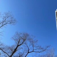 おはようございます☀