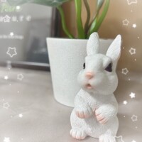 本日もよろしくお願いします🫶