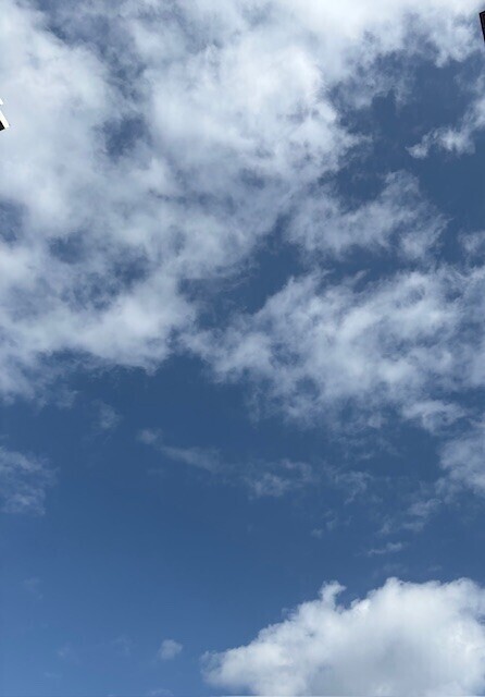 おはようございます