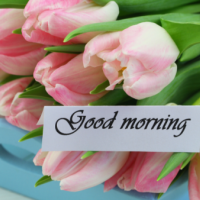 おはようございます