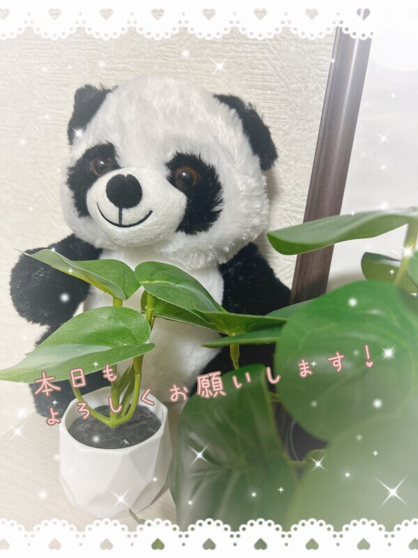 いいお天気☀️.°