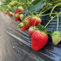 おはようございます🌞