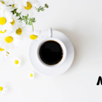 おはようございます