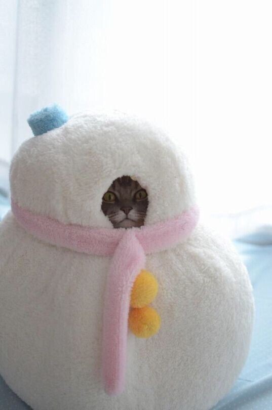 おはようございます！