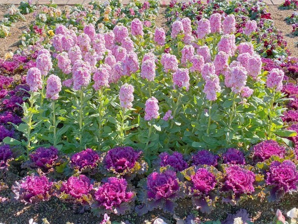 おはようございます💕