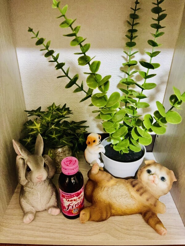 おやすみなさい💖