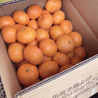 おはようございます