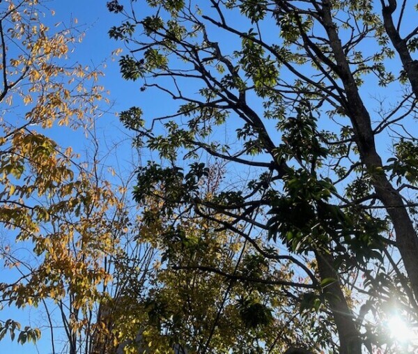 おはようございます☀️