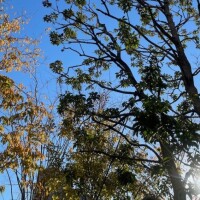 おはようございます☀️