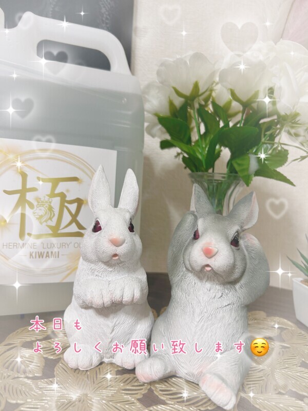 おはようございます☀️