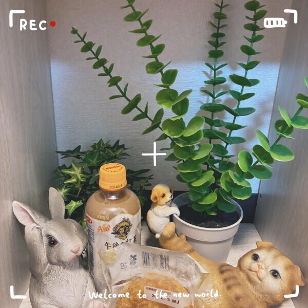 ありがとうございました💖