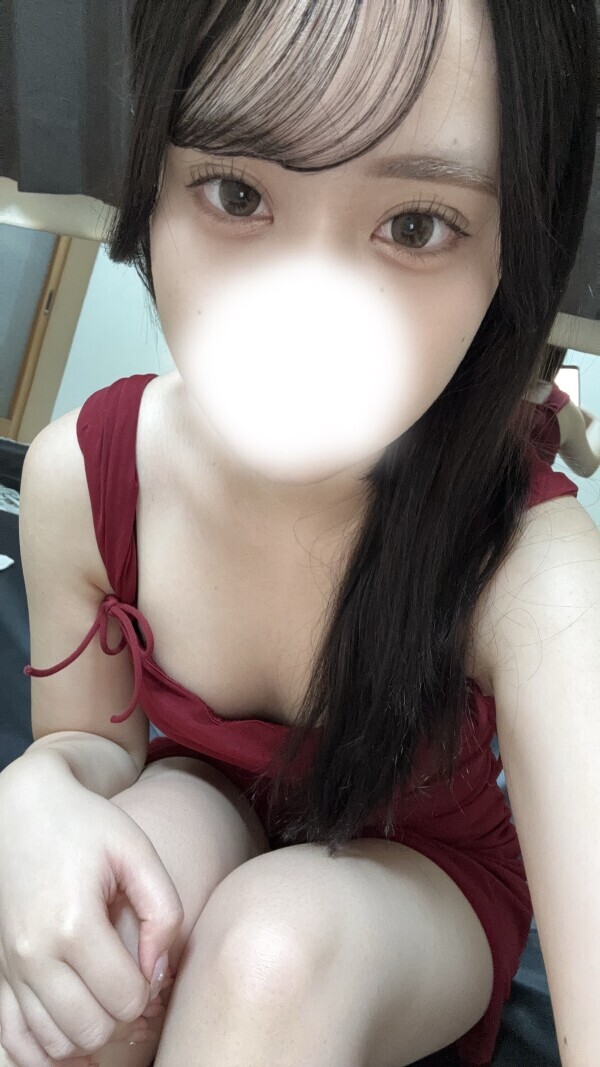 準備できました🐶