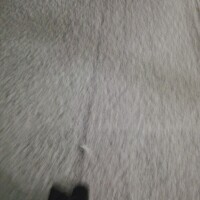 ありがとうございました😊