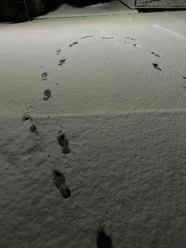 積もりましたね⛄️