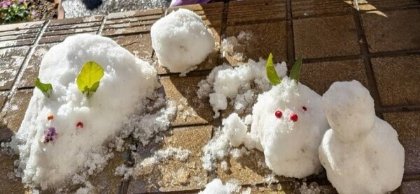 おはようございます