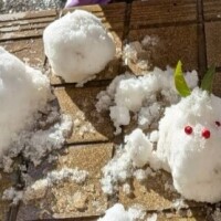 おはようございます