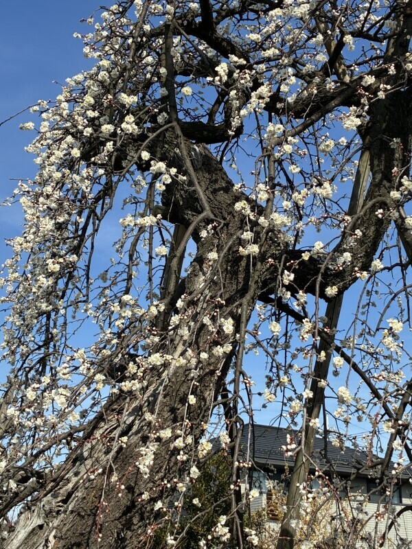 おはようございます💕