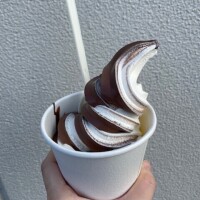 おはようございます🐨