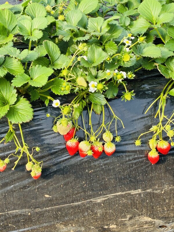 おやすみなさい💕