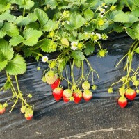 おやすみなさい💕