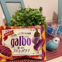 心がほっこり🌿