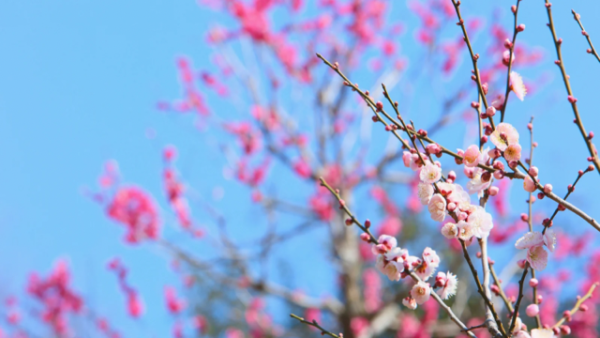 おつかれさまです