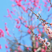 おつかれさまです