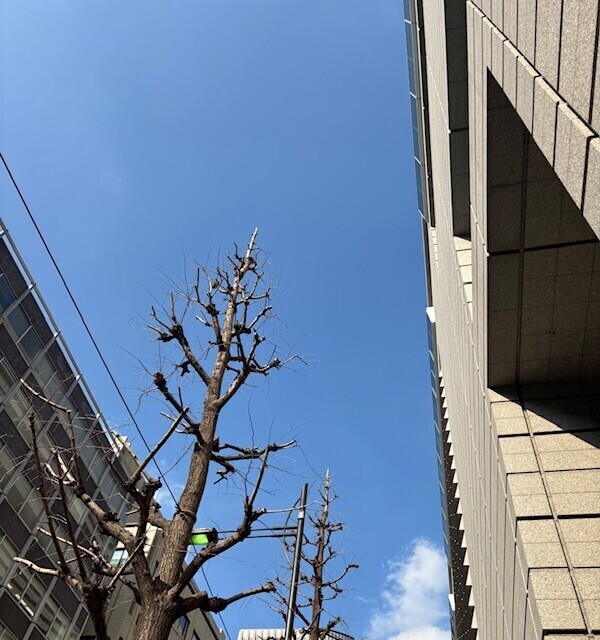 おはようございます