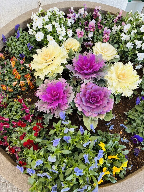 おつかれさまです💖