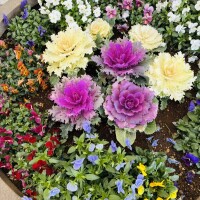 おつかれさまです💖