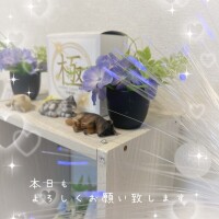 準備完了です😊