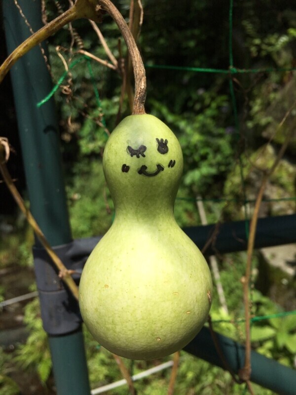 おはようございます🌞