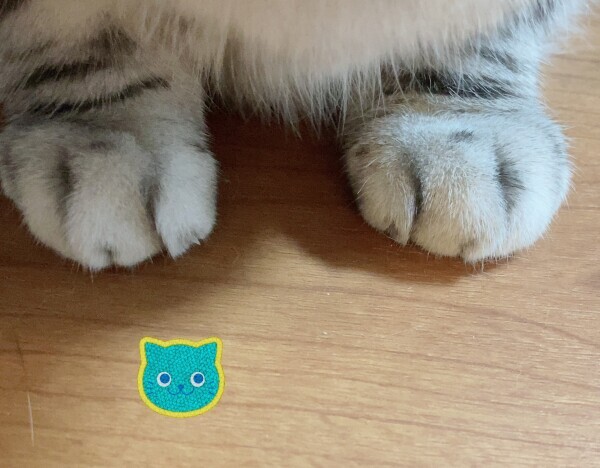 おはようございます