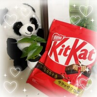 ありがとうございました🌼