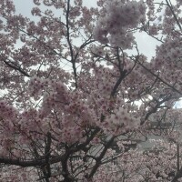 おはようございます