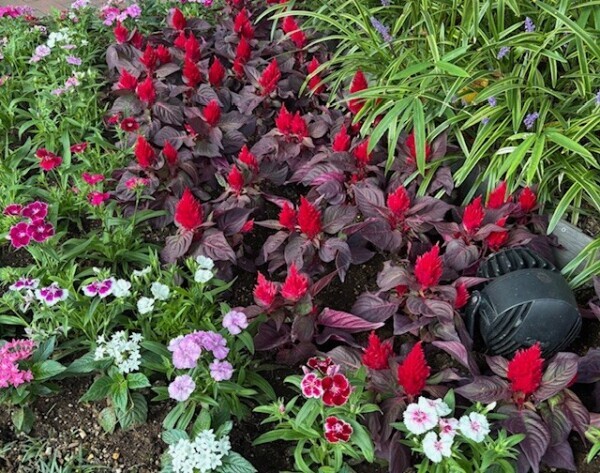 よろしくお願いします