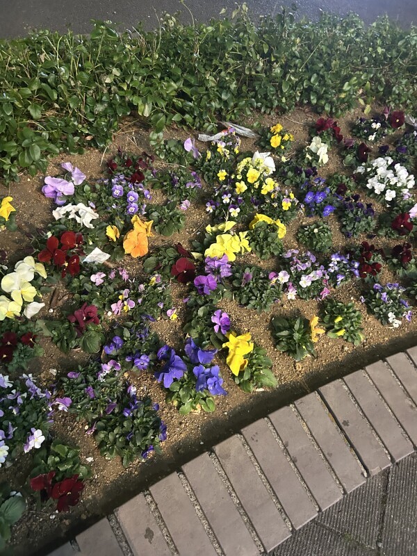 お疲れ様です😊