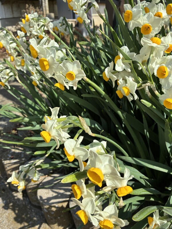 おやすみなさい✨