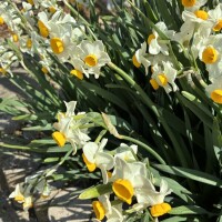 おやすみなさい✨