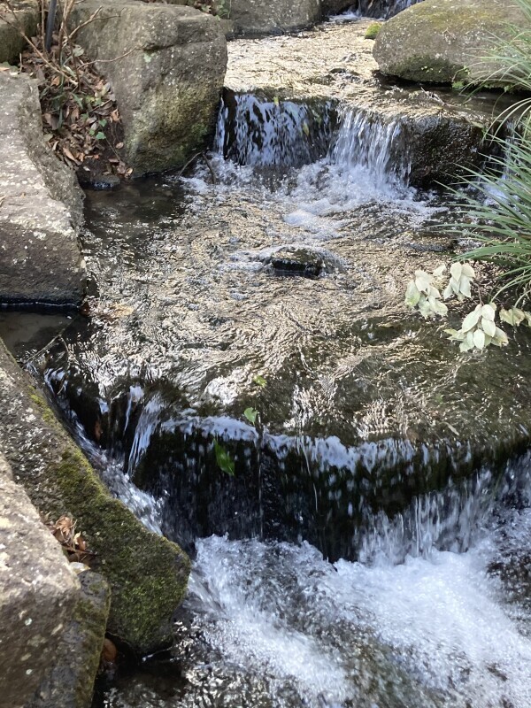 おはようございます